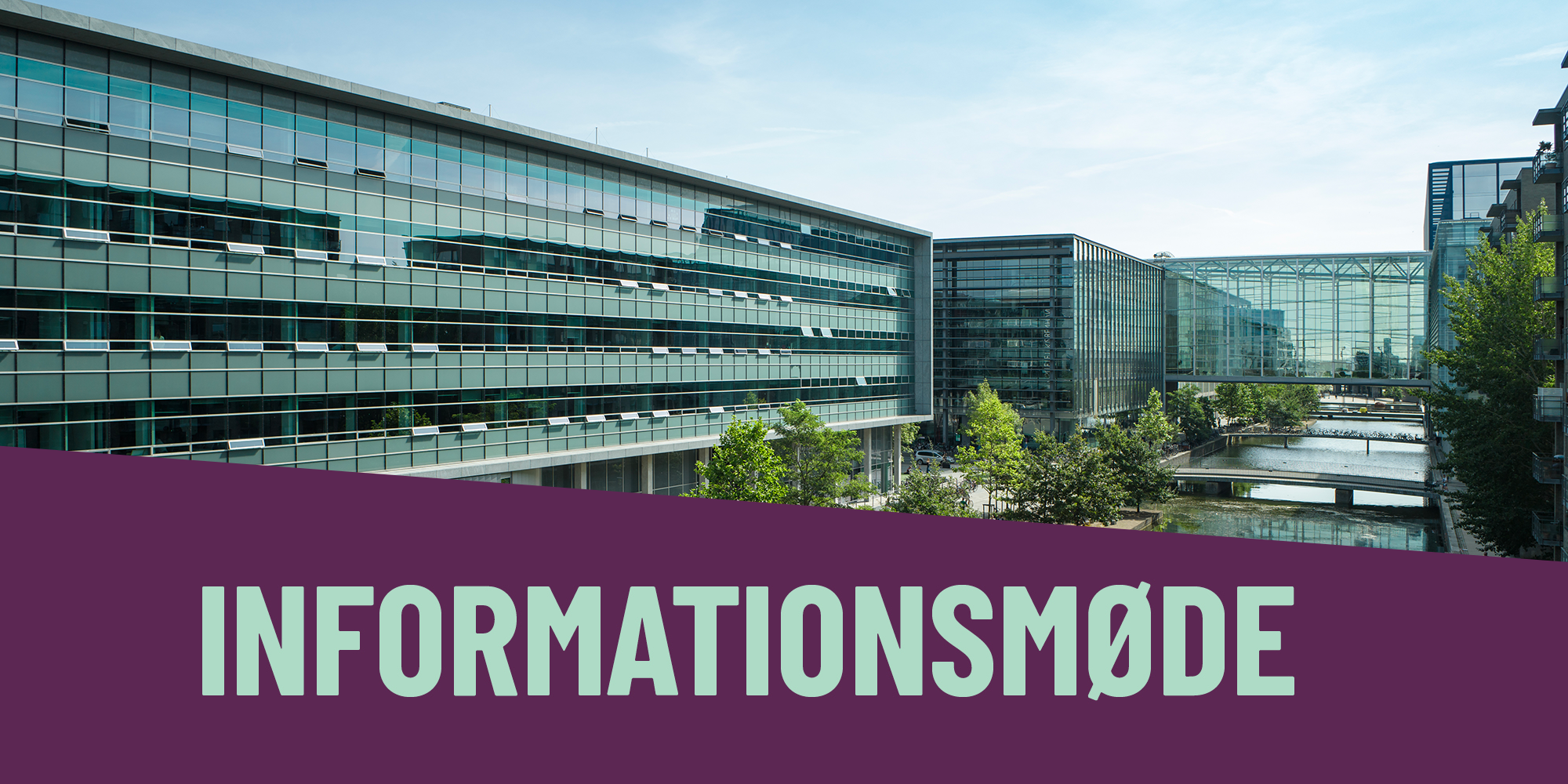 Master i it-ledelse informationsmoede 2025