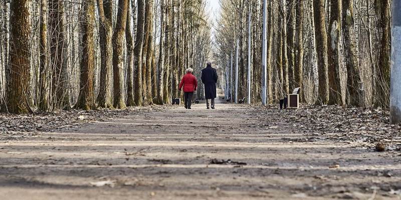 Forskningsprojekt skal bidrage til et mere sikkert pensionssystem