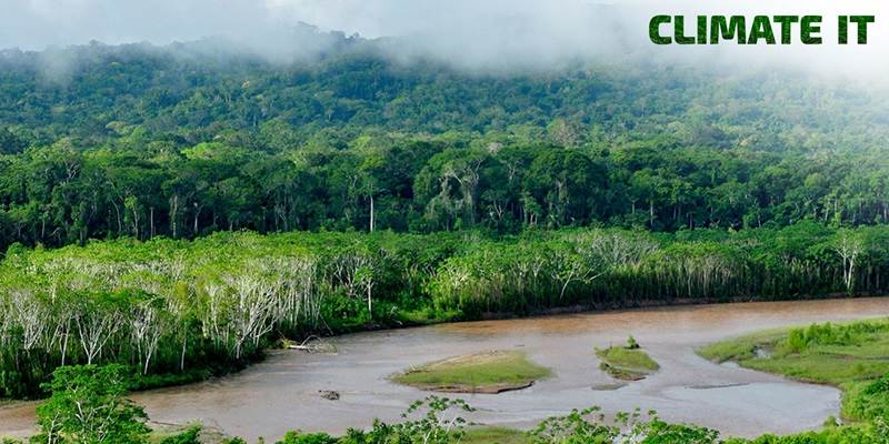 ITU-forskning i bæredygtighed i Amazonas bevilges midler af DFF